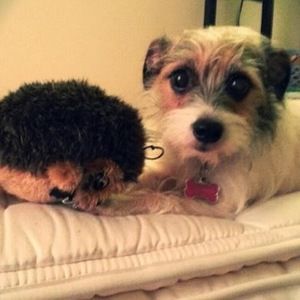 Meet your Posher, Lauren